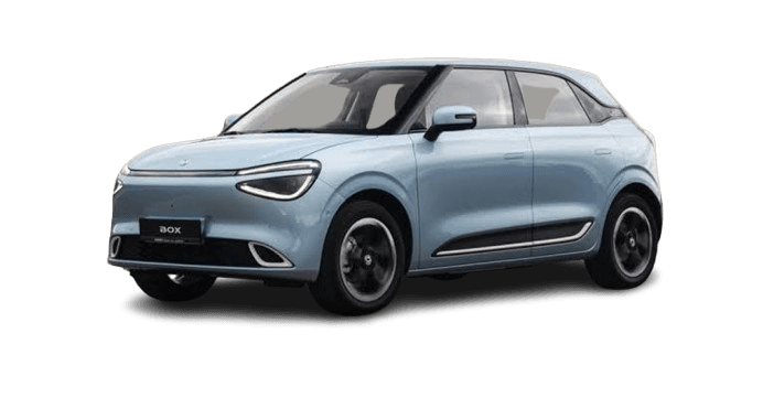 Dongfeng Box Flagship 430