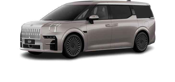 009 Luxury MPV